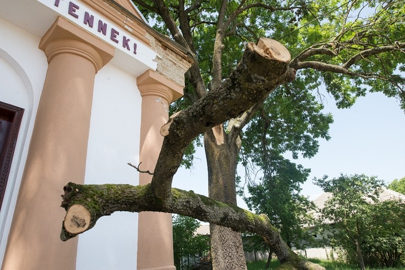 Lezuhanó faág károsította a szészármai református templomot